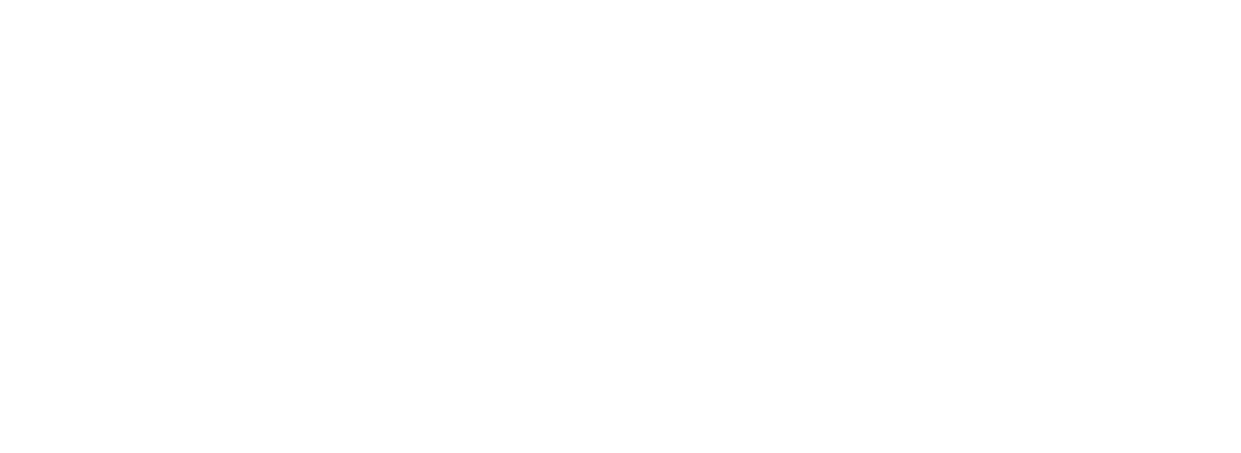 Anele Therapy and Wellness